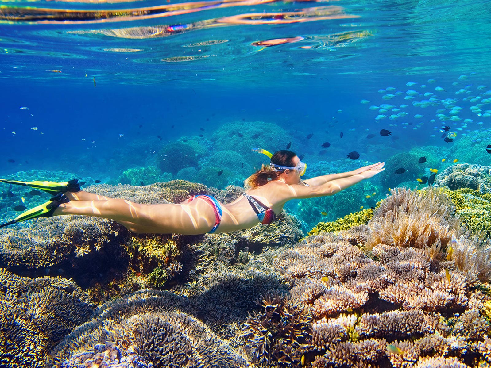 Diving Coral Reef